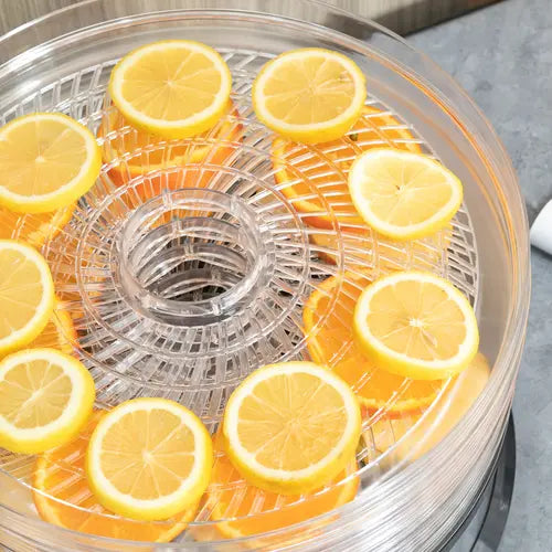 5 Tier Food Dehydrator 250W Stainless Steel Food Dryer Machine Silver - My Store