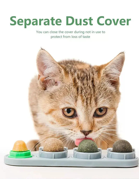 Catnip Toys Silvervine Balls Teeth Cleaning Dental Wall Treats Extra Cat Energy Ball Edible Cats Lick Healthy Kitten Chew - My Store