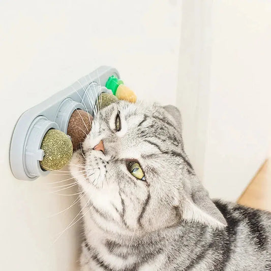 Catnip Toys Silvervine Balls Teeth Cleaning Dental Wall Treats Extra Cat Energy Ball Edible Cats Lick Healthy Kitten Chew - My Store